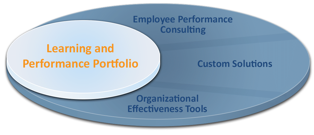 Learning and Performance Portfolio